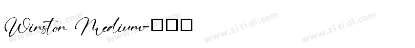 Winston Medium字体转换
